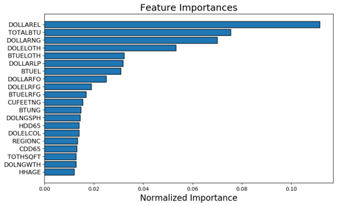 Feature Importance